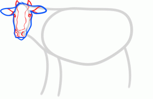 kak narisovat korovu1094